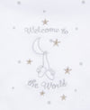 Welcome To The World Bib & Burp Set